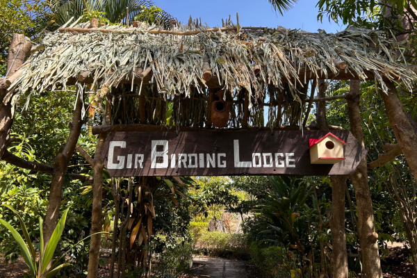 Gir Birding Lodge