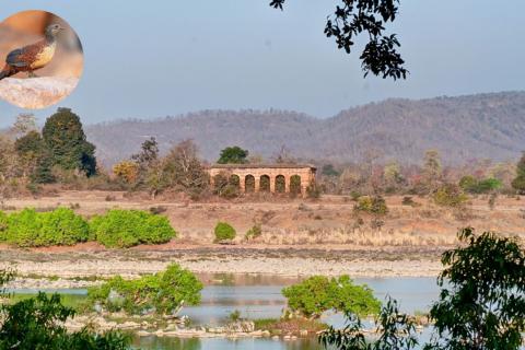 Panna National Park Fort