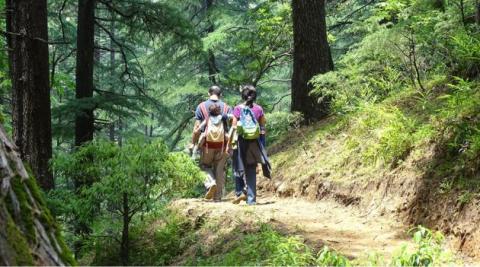 jageshwar trek